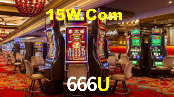 Interface Premium 666U